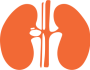 Kidneys
