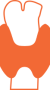 thyroid health